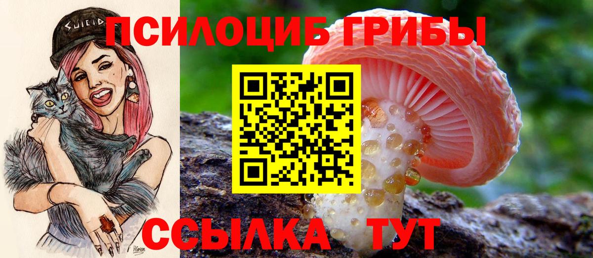 Псилоцибиновые грибы Psilocybe  Галлюциногенные грибы Psilocybine cubensis  Вход с VPN  Мурино 
